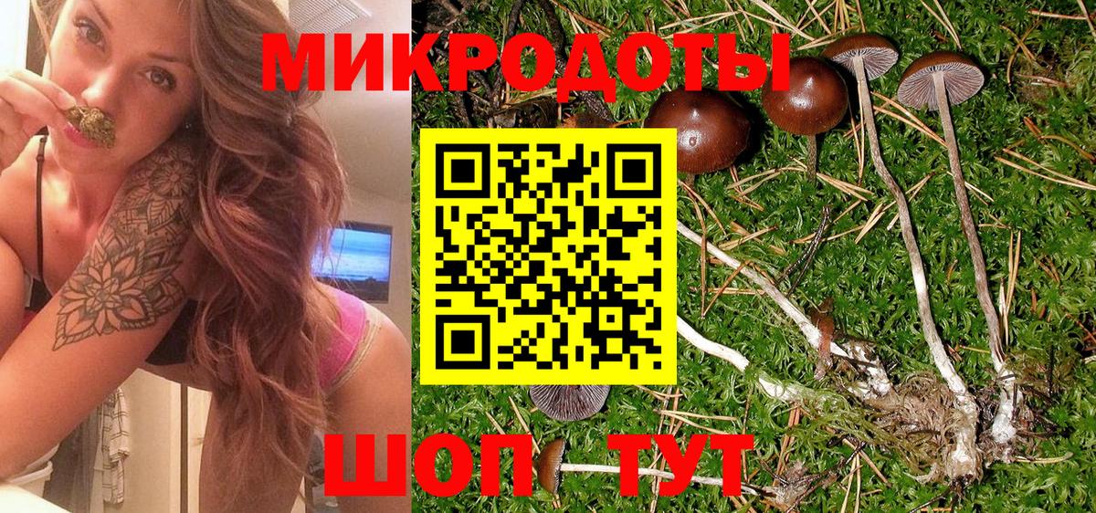 Галлюциногенные грибы ЛСД Орёл