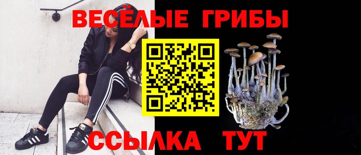 Галлюциногенные грибы MAGIC MUSHROOMS  Вход с VPN  Орёл 